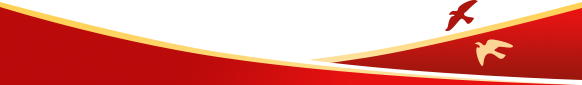 组 36.png