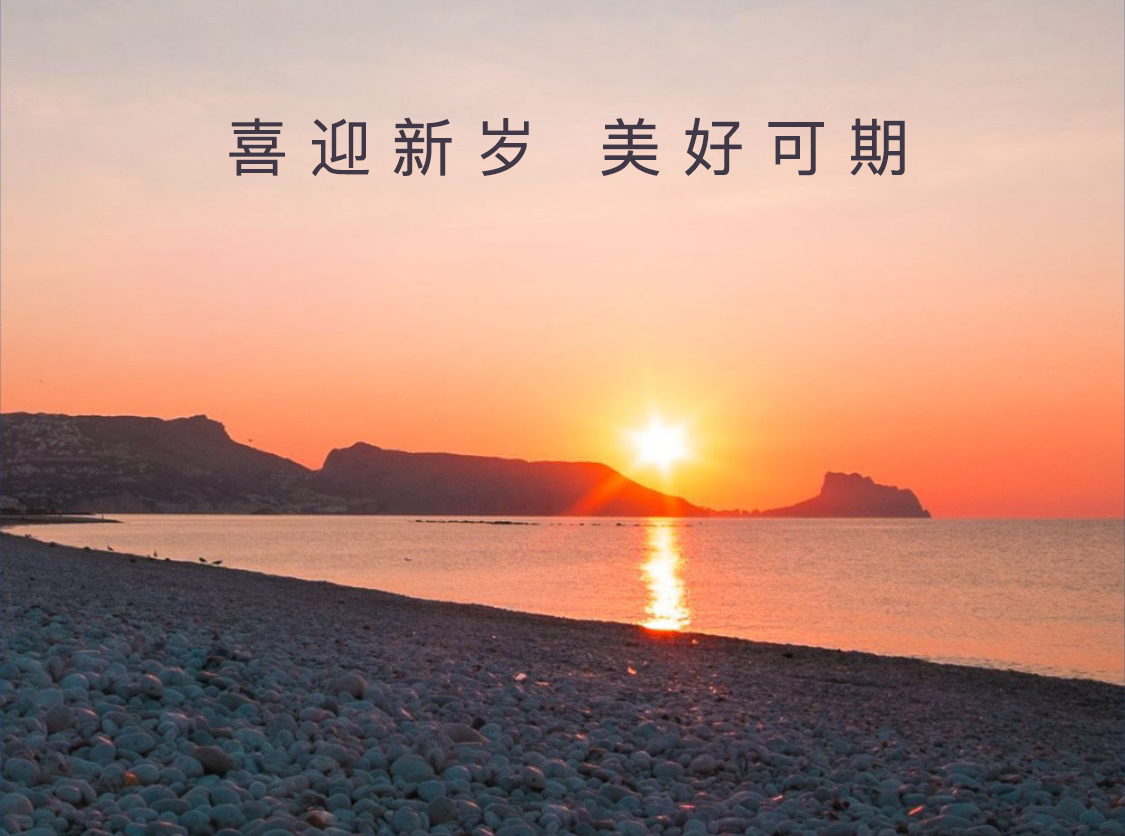 年终盘点|回望2024，东西分析这一年